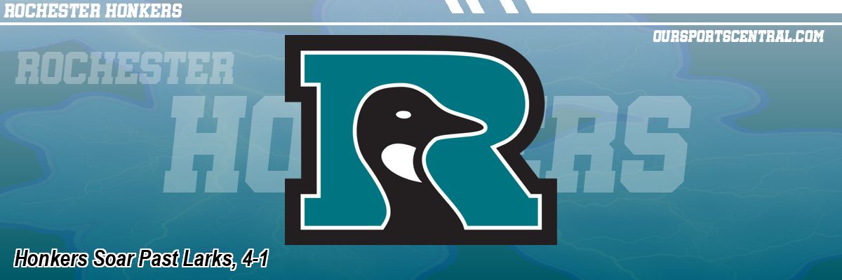 Honkers Soar Past Larks, 4-1