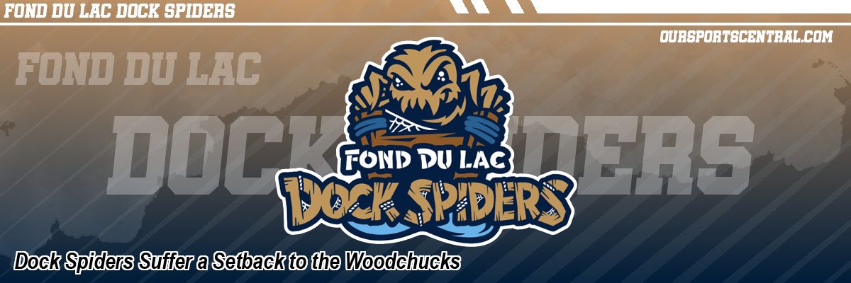Dock Spiders Suffer a Setback to the Woodchucks