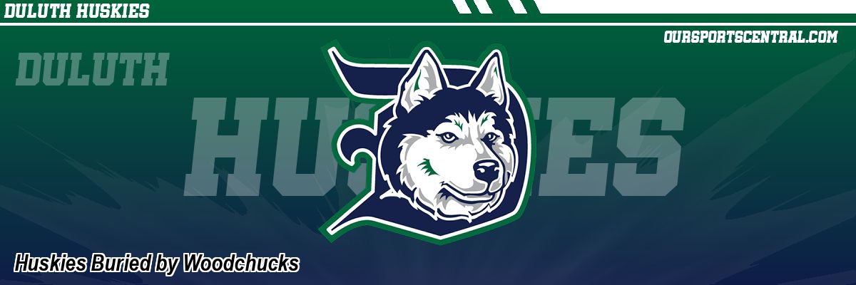 Huskies Buried by Woodchucks