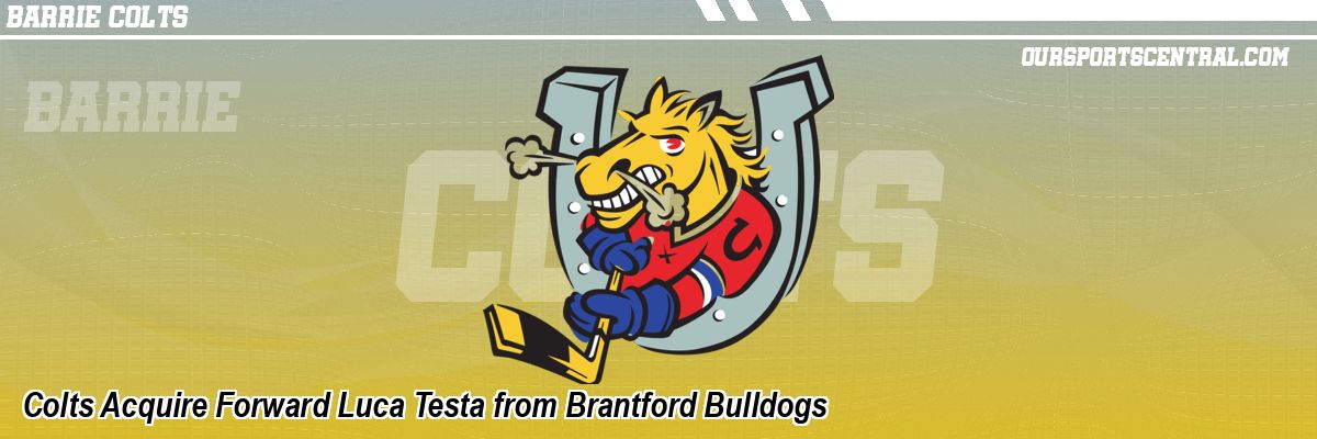 Colts Acquire Forward Luca Testa from Brantford Bulldogs