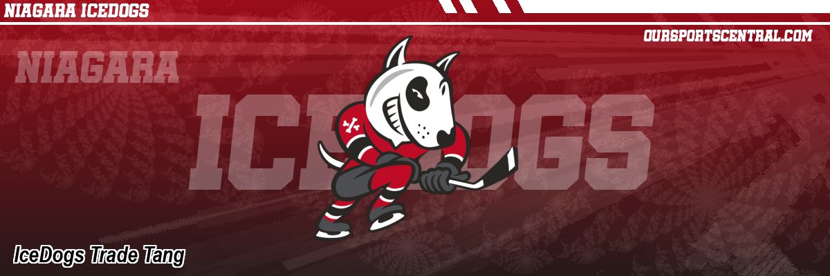 IceDogs Trade Tang