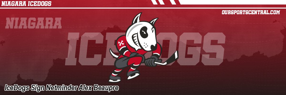 IceDogs Sign Netminder Alex Beaupre